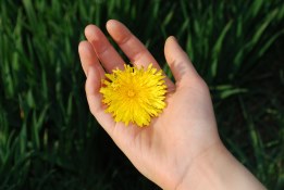 Enviar flores funerarias al Tanatorio