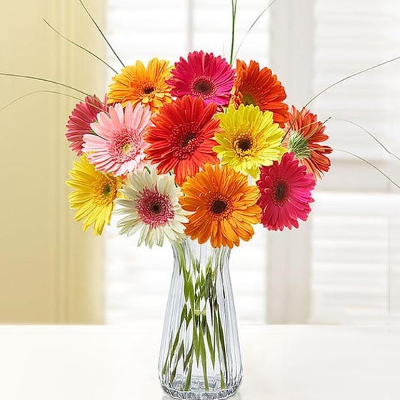 Ramo de Gerberas Variadas para regalar